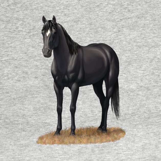 Beautiful Black Quarter Horse Stallion by csforest